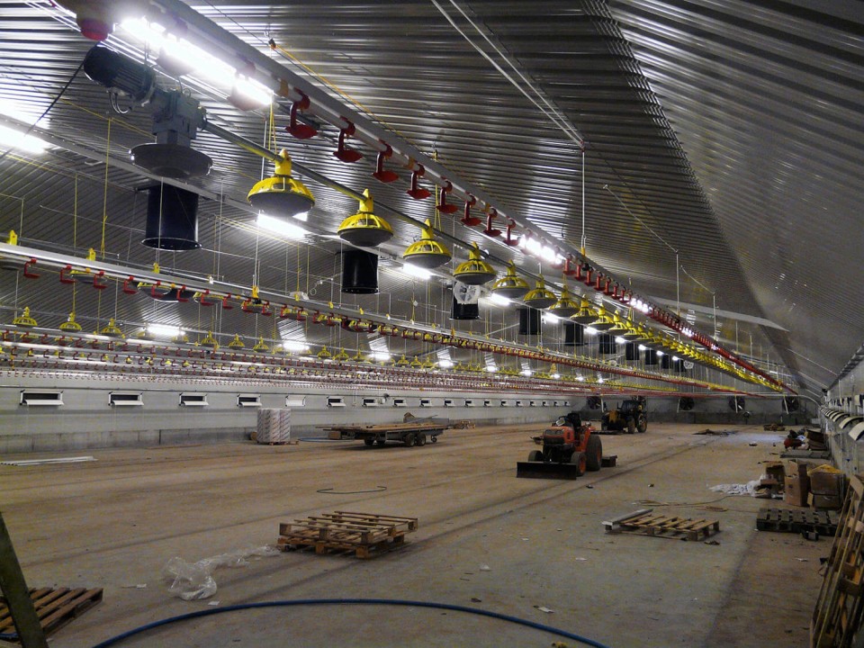 Chicken Housing & Poultry Buildings Honiton, east Devon